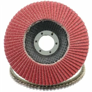 Makita® Zubehör Fächerschleifscheiben Ø 125 Mm K 60 – D-28341 6